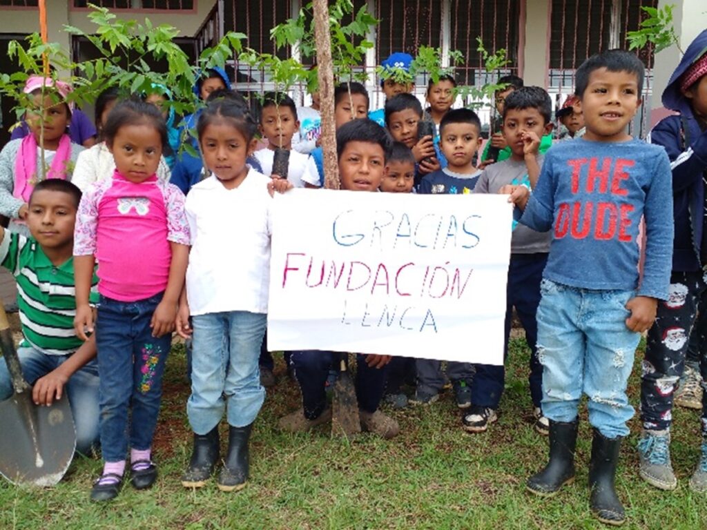 Children From Local Primary Schools Learning To Grow Vegetables