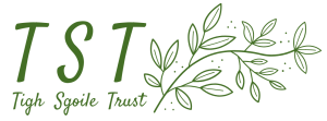 TST Logo 3 b